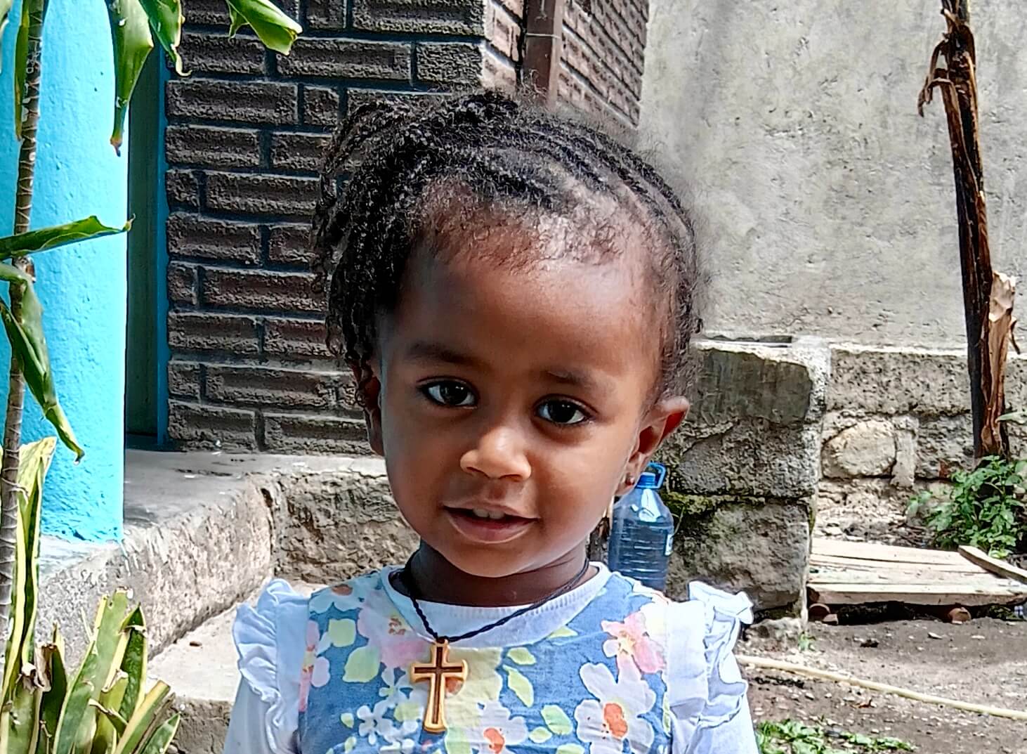 Tsinat Tatek Elshadai Child Development tsinat-tatek-elshadai-child-development